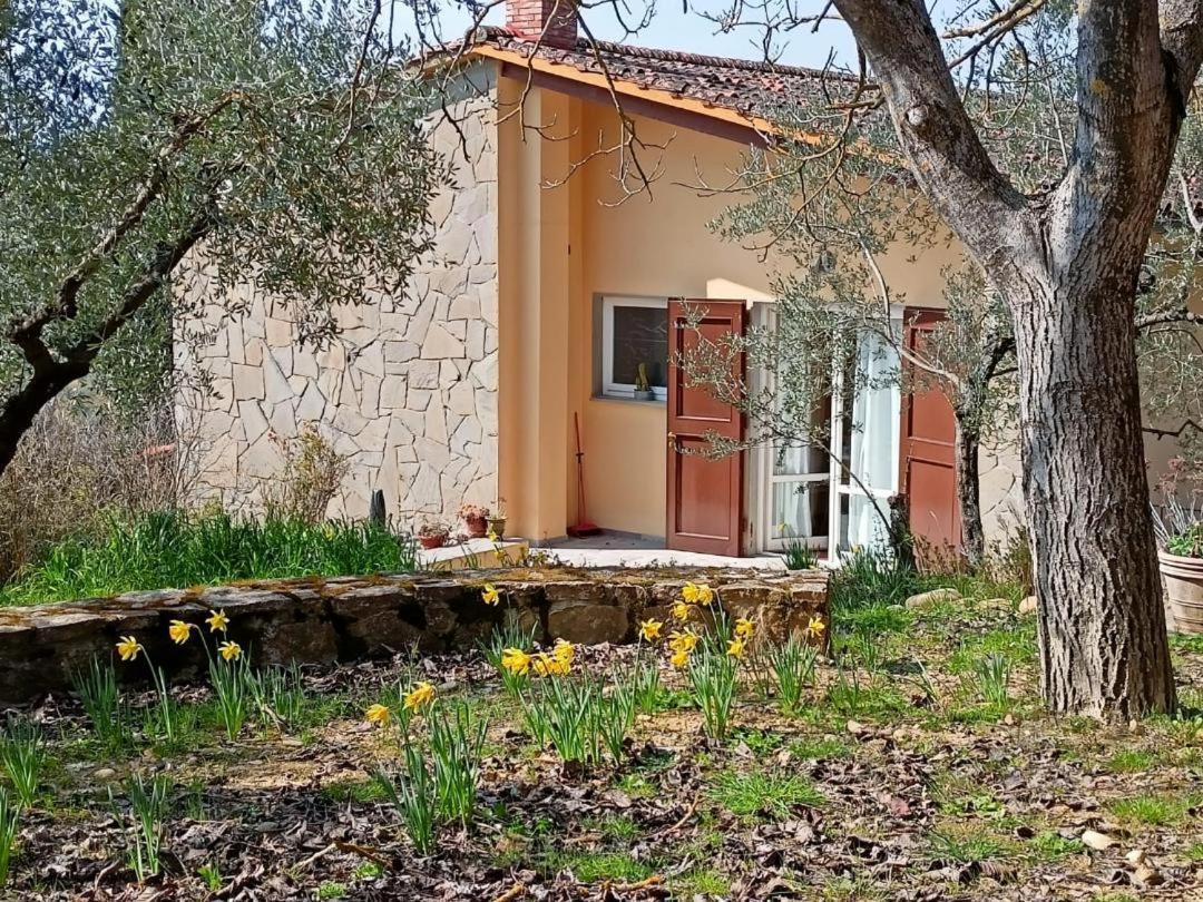 Poggio House, Tranquillita E Comfort Nella Natura San Casciano in Val di Pesa Exterior photo