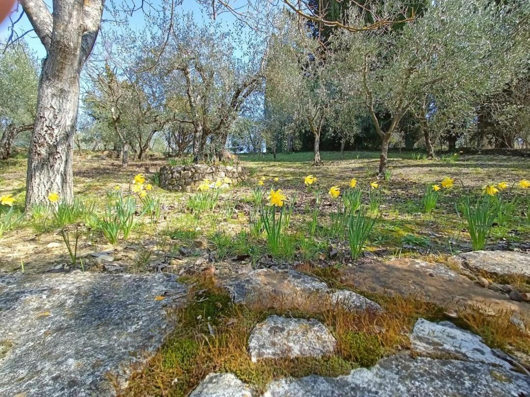 Poggio House, Tranquillita E Comfort Nella Natura San Casciano in Val di Pesa Exterior photo